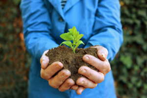 Regenerative organic agriculture could alleviate–or even reverse–the effects of climate change.